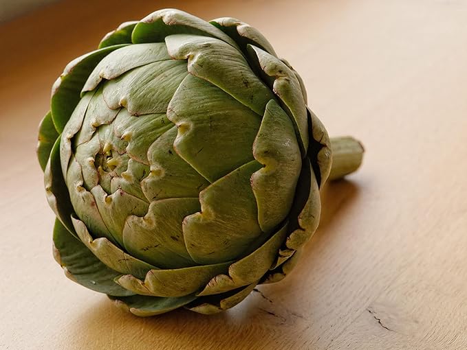 Seeds Green Globe Artichoke Non GMO Vegetable for Planting