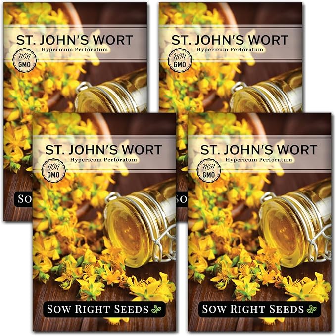 Sow Right Seeds - St John’s Wort Seeds for Planting - Non-GMO Heirloom Packet with Instructions to Plant & Grow an Outdoor or Indoor Herb Garden - Native Wildflower with Medicinal & Culinary Uses (4)