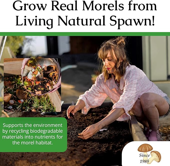 MOREL HABITAT KIT® Morel Mushroom Growing Kit (Morchella), Compatible with Any Soil Type Across The U.S., Outdoor Garden & Backyard Cultivation Set with Full Instructions - Made in The USA