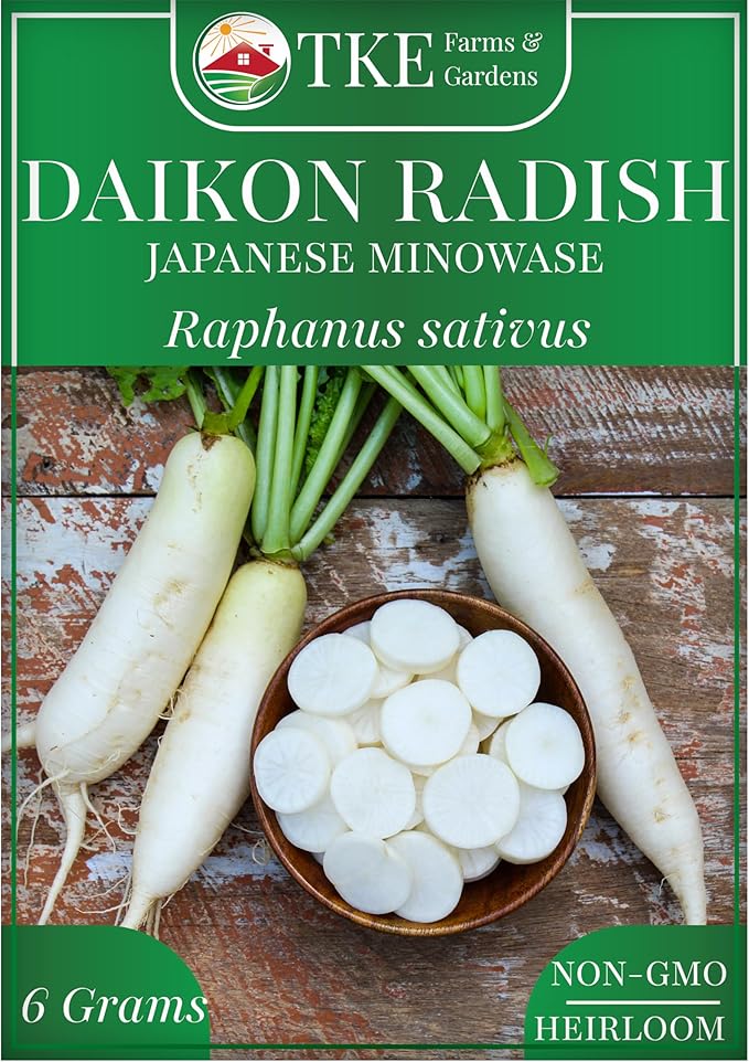 TKE Farms & Gardens - Daikon Radish Seeds for Planting, 500+ Heirloom Non-GMO Seeds, Japanese Minowase, Fast-Growing & Low-Calorie Superfood, Great for Pickling & Cover Crops, Instructions Included