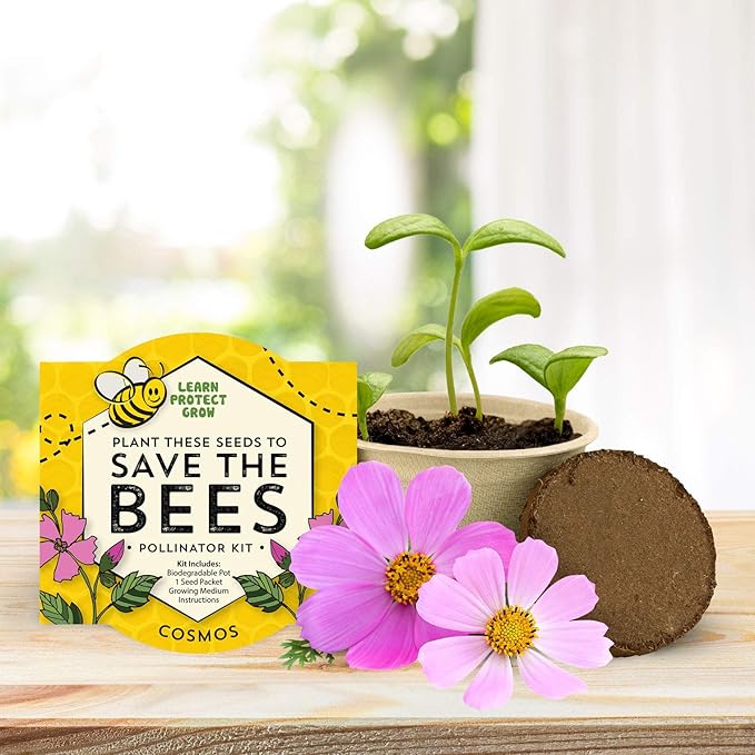 BUZZY Seeds 12 Pack Save The Bees Wildflower Grow Kits – 12 Biodegradable Pots with an Assortment of Coneflower, Zinnia, Daisy, Cosmos Seeds, Pollinator Garden Starter, Sustainable Party Favors