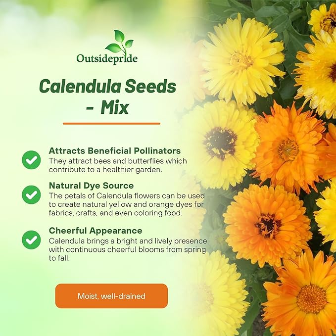 Outsidepride Mix Calendula Seeds - 1 lb. Annual Edible Flower Seeds for Planting for Dishes & Wellness Uses, with Vibrant Blooms for Cut Flower, Container, & Pollinator Gardens
