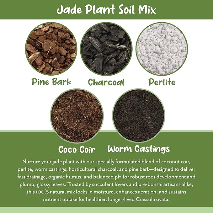 Soil Sunrise Jade Plant Potting Soil Mix (8 Quarts) Hand Blended Additive for Jade Succulents