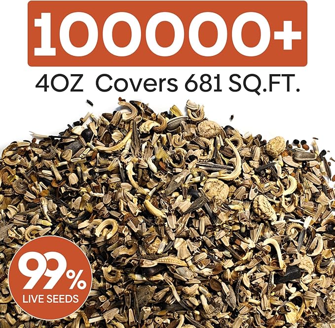 Groundio Wildflower Seeds Bulk, 1/4 lb, 100,000+ Seeds, 26 Variety Mix with Zinnia, Milkweek Seed, Attracts Pollinators, Plant in Spring or Fall, Zones 3, 4, 5, 6, 7, 8, 9, 10