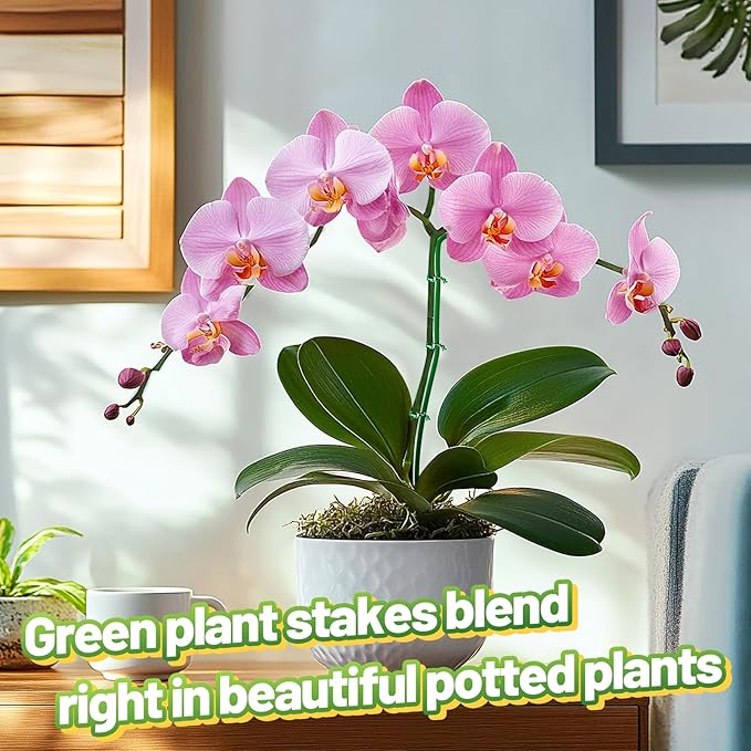 16ft Bendable & Cuttable Plant Stakes, Green Orchid Flower Stem Support Sticks with 800 Ties for Monsteras Money Trees Indoor Potted Plants Beans