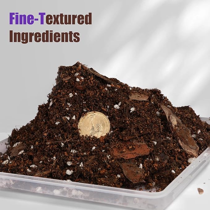 Organic African Violet Potting Mix, Indoor Plants Potting Mix for All Potted Saintpaulia, Grow Healthy houseplants Indoors