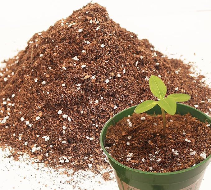 3QT Potting Soil Mix for Indoor Plants - Contains Perlite, Peat Moss, Coco Coir & Rice Charcoal, Natural & Organic Material with Well-Draining, Light & Aerated Texture for Healthy Roots & Fast Growth