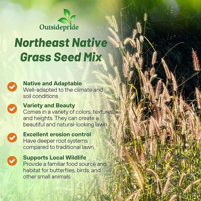 Outsidepride Perennial Northeast Native Grass Seed Mix - 25 lbs. Cold & Drought-Tolerant Warm & Cool Season Prairie Grass Seeds for Xeriscaping, Erosion Control, Wildlife Support, & Pollinator Habitat