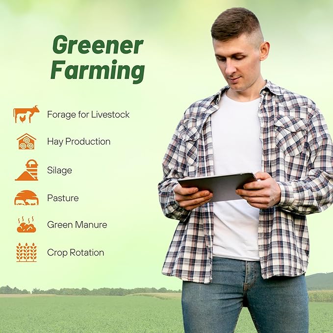 Outsidepride Perennial Alfalfa Seeds for Planting - 5 lbs High Yield, Nitrocoated, Inoculated Winter Hardy Forage Legume Seeds for Growing Lush Green Grass Lawns, Pastures, & Hay for Livestock