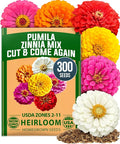 HOME GROWN Dwarf Zinnia Seeds Mix - 300 Pumila Zinnia Seeds for 2026 (0.6g) | Zinnia Flower Seeds for Planting Outdoors | Colorful Cut Annual Flowers for Summer Gardens & Containers (Zinnia elegans)