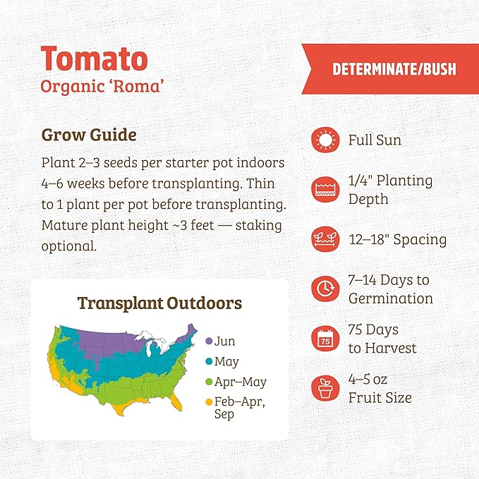 Back to The Roots 100% Organic Seed Packet - Tomato 'Roma' 140mg