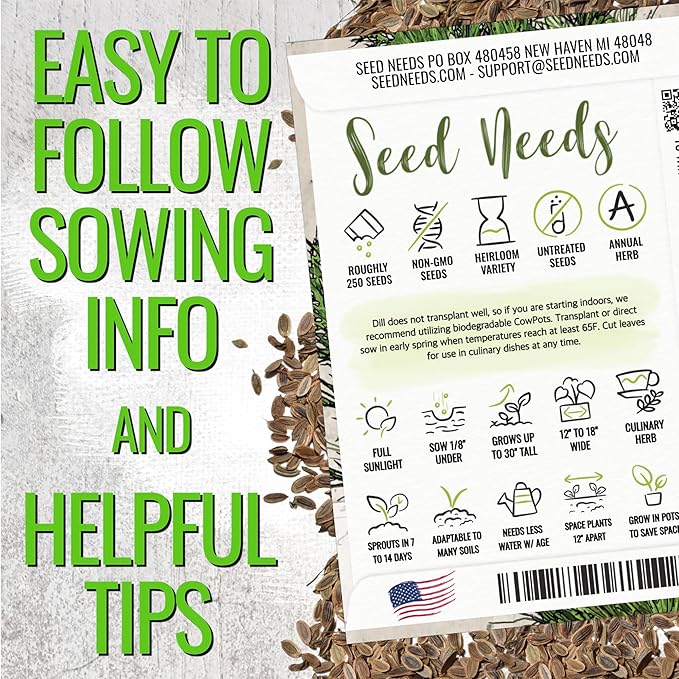 Seed Needs Dill Seeds for Planting Bouquet Herbs - Non-GMO Heirloom & Untreated Herb Seed to Plant a Home Grown Indoor / Outdoor Garden (1 Pack)