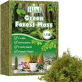 Halatool 1.1LB Green Moss for Potted Plants, 25QT Orchid Moss Potting Mix, Forest Moss for Indoor Plants, Indoor Potting Plant Moss for Repotting Terrariums Garden Reptiles