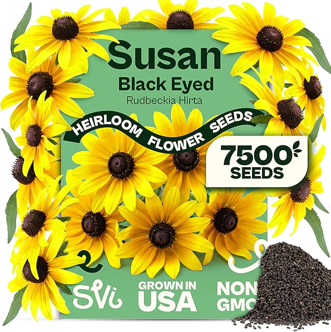 SVI 7500 Black Eyed Susan Seeds (Rudbeckia Hirta) – Black-Eyed Susan Wildflower Seed Packets Bulk, Rudbeckia – Daisy Flower Seeds for Outside & Indoor Flower Garden Containers