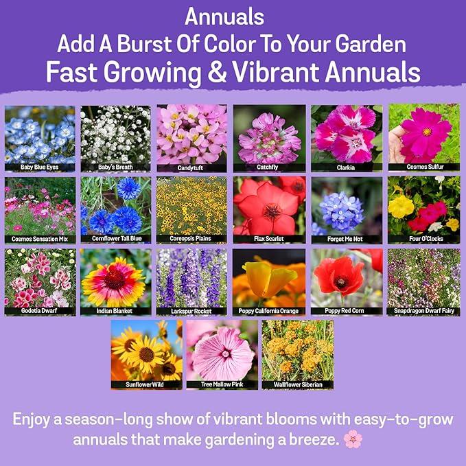 NatureZ Edge Wildflower Seeds, 1/2 lb, 340,000 Seed, 35 Variety Perennial & Annual Flower Seeds to Plant Outside, Bulk Wildflower Seed, Wild Flower, Semillas de Flores