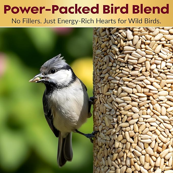 100% Sunflower Hearts for Birds – Premium Bird Seed Cylinders with Hole – Hulled Sunflowers Bird Seed – Sunflower Chips for Birds - Attracts Various Songbirds – No Mess Birdseed, USA Made (4" x 7.75")