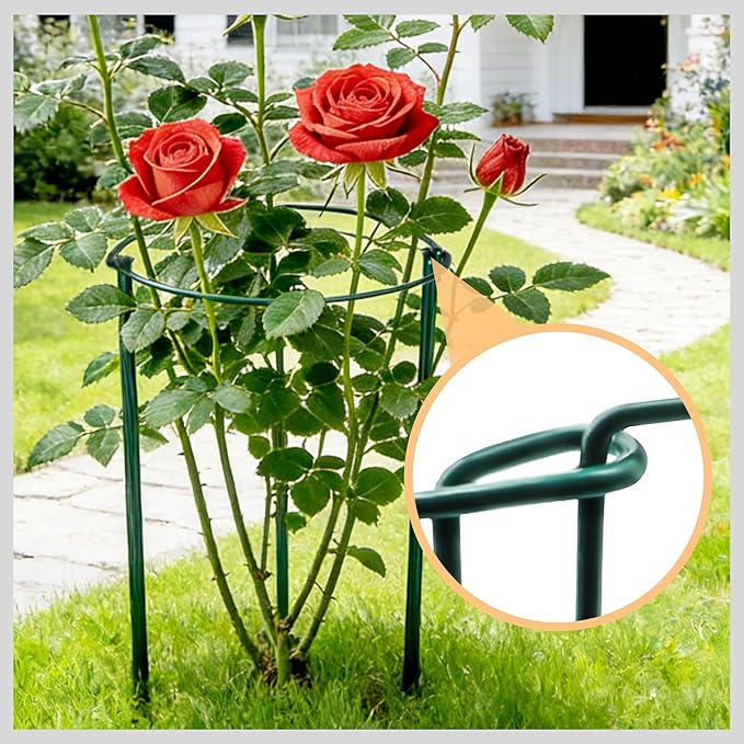 TCBWFY 4 PCS Plant Supports 16" Dx46 H Peony Cages and Supports,6mm Thick Metal Wire Heavy-Duty Garden Stakes for Indoor & Outdoor Plants,Ideal for Peony,Tomato,Hydrangea,Rose