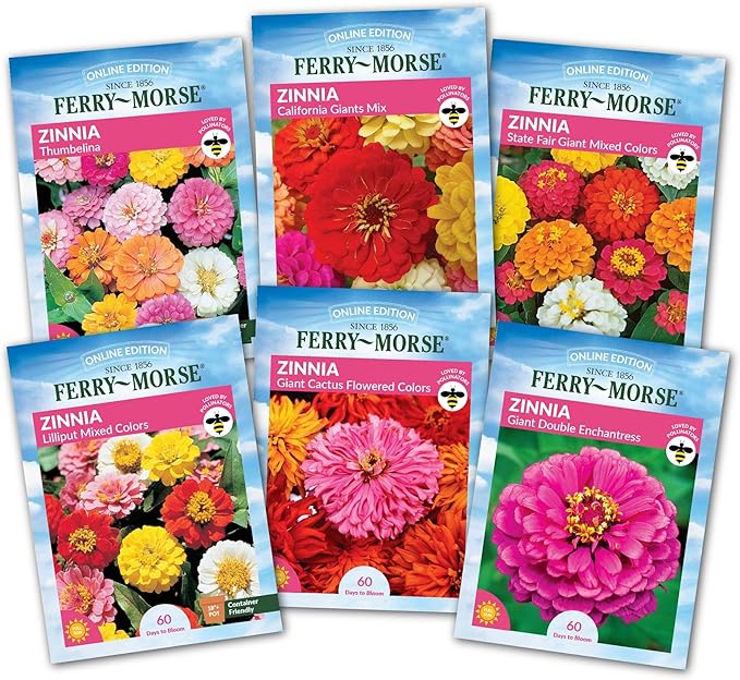 Ferry-Morse Zinnia Flowers Seed Variety Pack- 6 Pack