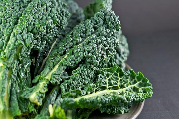 Seeds Dinosaur Kale - Giant Bush Cabbage - Heirloom Vegetable - GMO Free