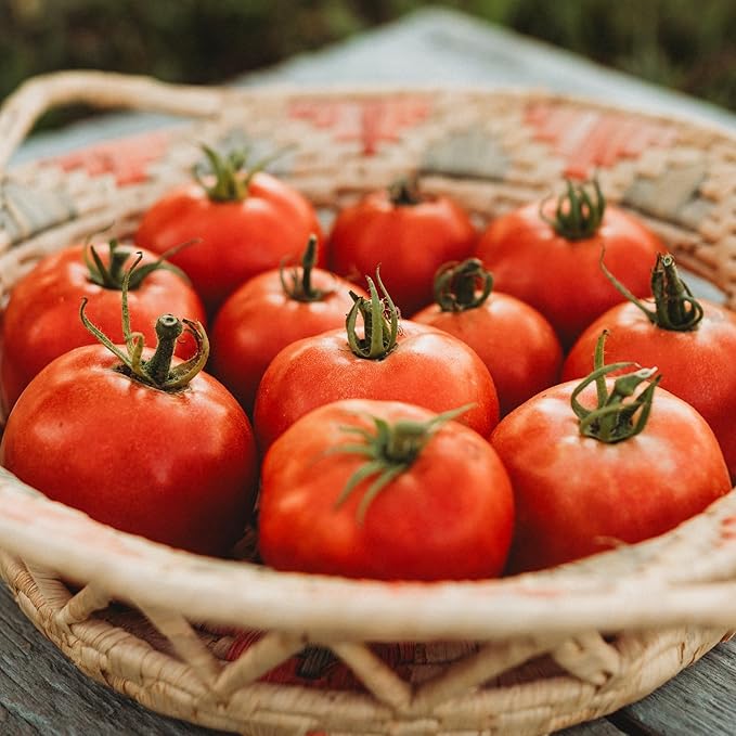 Eva Purple Ball Tomato - 50 Seeds - Heirloom Tomato Variety, USA-Grown, Non-GMO Vegetable Seeds for Planting Outdoors in The Home Garden, Thresh Seed Company