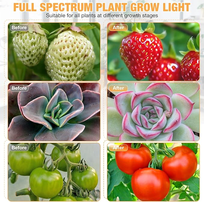 LED Grow Lights (2 Packs), 2 Heads Red Blue White Full Spectrum Plant Light with Clamp for Indoor Plants & Seed Starting, 10-Level Dimmable, Auto On Off, Timing 4 6 12Hrs