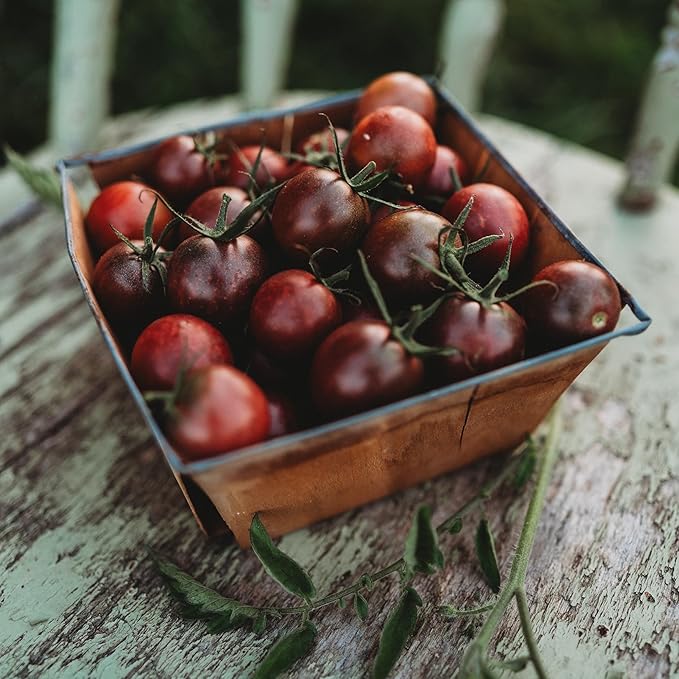Chocolate Cherry Tomato - 50 Seeds - Large Cherry Tomatoes, Popular Heirloom Tomato, Non-GMO, Heirloom Chocolate Tomato Seeds for Planting in The Home Garden, Thresh Seed Company