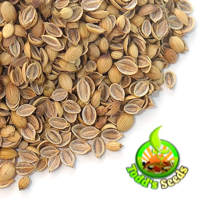 Todd's Seeds Coriander (Split Seed Cilantro) Slo-Bolting Herb Seed, Non-GMO, Chemical Free, High Germination (One Pound)