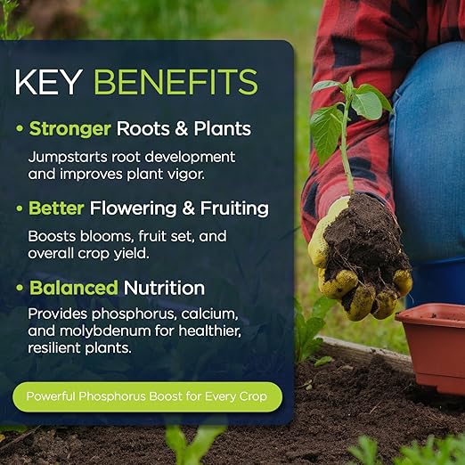 Supply Solutions | 0-45-0 Triple Superphosphate with 13.5% Calcium | High Phosphorus Bloom Booster Fertilizer for Indoor Plants, Flowers, Orchids, Citrus, Lawns, Vegetables & Fruit Trees (5 Pounds)