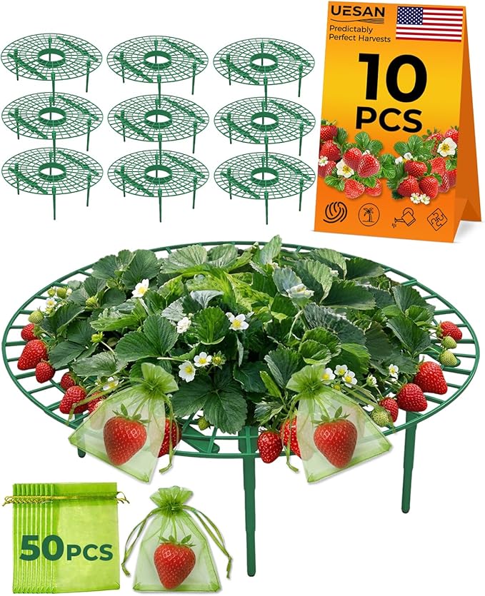 60Pack Strawberry Plant Support, Strawberry Holder for Garden to Keep Fruit Clean and Off The Ground - Large Metal Strawberry Growing Racks Frame for Easy Harvest