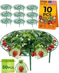 60Pack Strawberry Plant Support, Strawberry Holder for Garden to Keep Fruit Clean and Off The Ground - Large Metal Strawberry Growing Racks Frame for Easy Harvest