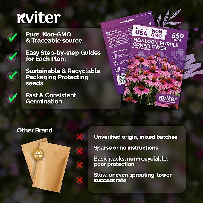 KVITER 550 Purple Coneflower Seeds (Echinacea Purpurea) – Echinacea Herb Flower Seeds For Planting, Medicinal Wild Flower Seed Packets – Wildflower Pollinator for Home Garden, Containers, Flowers Beds