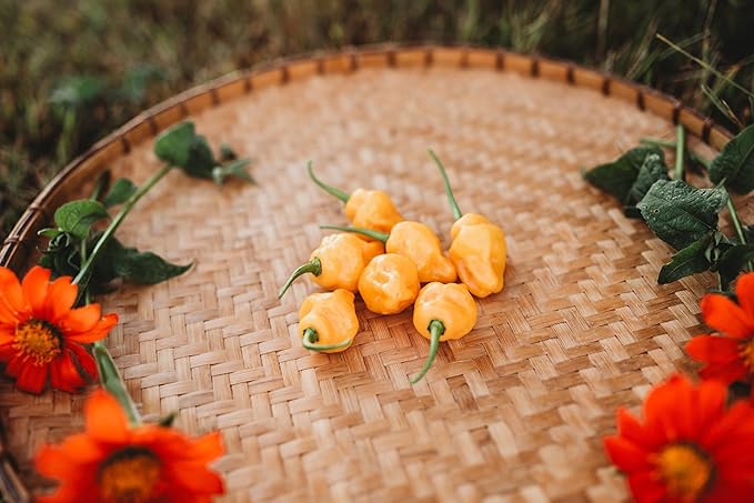 Trinidad Perfume Pepper - 10 Seeds - Tamed Trinidad Peppers, Exceptionally Sweet & Subtly Spicy, Non-GMO, Heirloom Pepper Seeds for Planting in The Home Garden, Thresh Seed Company