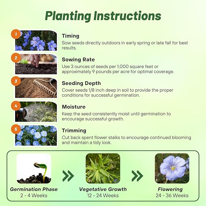 Outsidepride Blue Flax Seeds - 5000 Pcs Perennial Flower Seeds for Planting, Self-Seeding, Drought-Tolerant w/Compact Growth, Ideal for Small Gardens, Meadows, Borders, or Mass Plantings