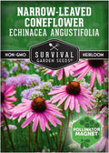 Survival Garden Seeds - Narrow-Leaved Coneflower Seeds for Planting | Echinacea angustifolia | Drought-Tolerant Medicinal | Native Prairie Plant - 1 Pack