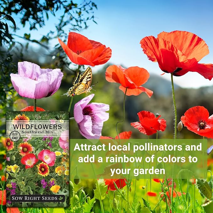 Sow Right Seeds - Wildflowers Seeds Mix for Planting in Southwest - Non-GMO Heirloom Varieties to Grow a Wild Flower Garden - Perennial and Annual Flowers to Attract Pollinators - Colorful Blooms (1)