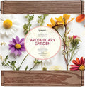 BUZZY Seeds Apothecary Garden Wellness Kit with 9 Varieties of Non-GMO Flower and Herb Seeds, Terracotta Pots, Growing Medium, and Plant Markers, a Self-Care Gift for Holistic Living