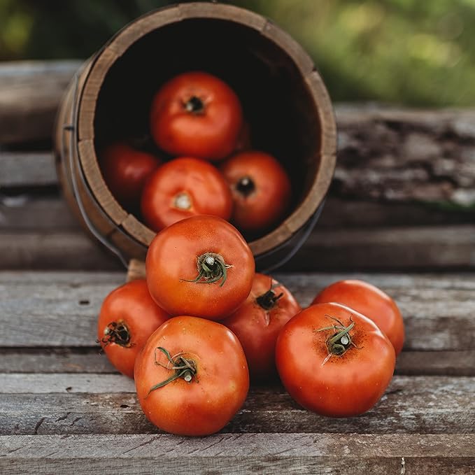 Rutgers Heirloom Tomato - 50 Seeds - Heirloom & Open-Pollinated Variety, USA-Grown, Non-GMO Vegetable Seeds for Planting Outdoors in The Home Garden, Thresh Seed Company
