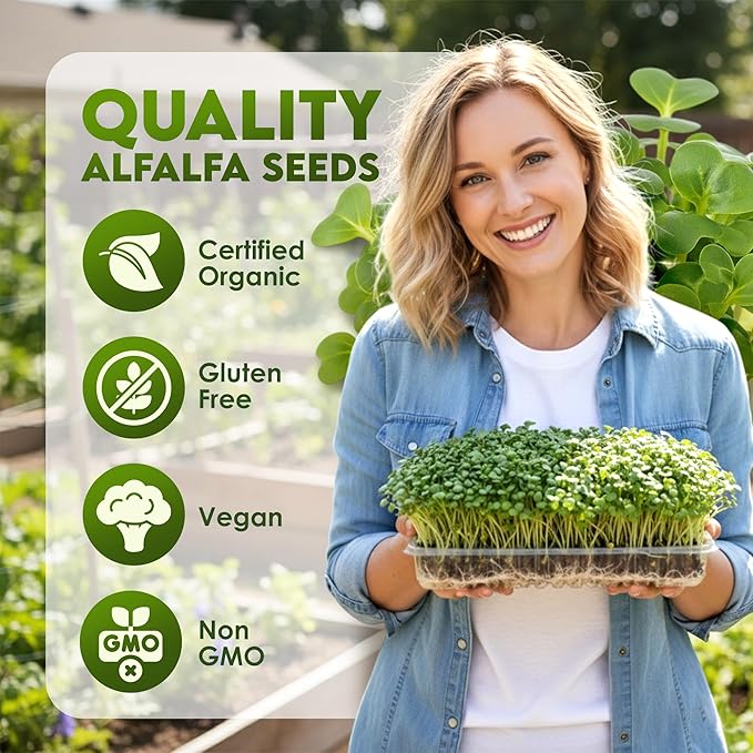 Nature Jims Sprouts Alfalfa Seeds – Non-GMO Organic Sprout Growing Kit for Planting – Premium Resealable Bag for Fresh Homegrown Sprouting Seeds – Rich in Nutrients, Vitamins, Fiber & Minerals – 16oz