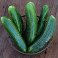 Organic Muncher Burpless Cucumber Seeds - 1/4 LB Bulk ~3,750 Seeds - Organic, Heirloom, Open Pollinated, Non-GMO, Farm & Vegetable Gardening Seed
