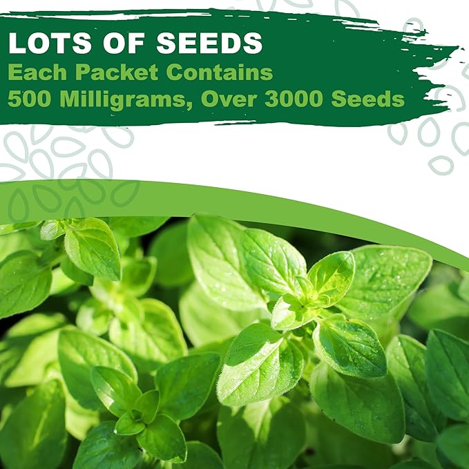 TKE Farms & Gardens - Oregano Seeds for Planting, 3000+ Non-GMO Heirloom Seeds, 500mg, Open Pollinated Perennial Herb, Origanum vulgare, for Indoor & Outdoor Gardens, Qty 1