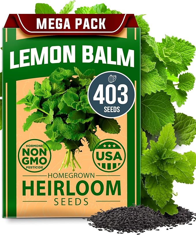 HOME GROWN Non GMO Lemon Balm Seed Pack - 403 Non-GMO USA Heirloom Herbal Tea Seeds - Bulk Lemon Balm Seeds for Planting Gardens Indoors or Outdoors - Herb Seeds (Melissa officinalis)