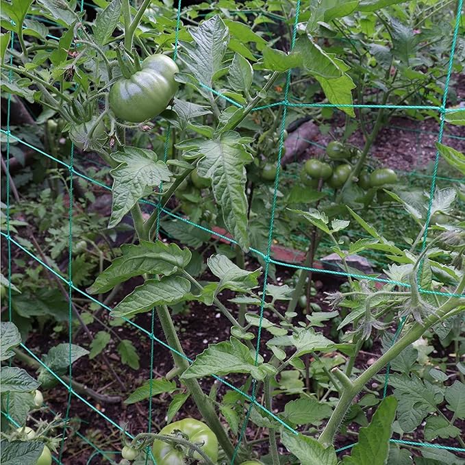 Trellis Netting for Climbing Plants - Heavy Duty Garden Trellis Netting for Cucumber, Vine, Fruits & Vegetables Tomato Plants Trellis Net, Climbing Vining Plants (2-Pack 8.2' x 6.6'Ft)