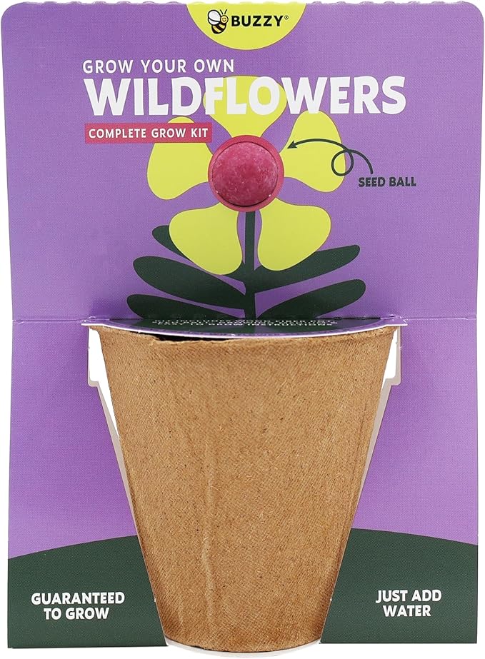 BUZZY Seeds Wildflower Seed Ball Cup 6-Pack – Over 50 Seeds Per Ball, Colorful Decorative Seed Balls in Biodegradable Cups with Growing Medium – Indoor Gardening Gift Set