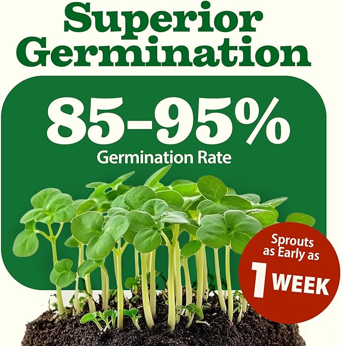 HOME GROWN 70 Variety Vegetable & Herb Seeds 32,000+ USA Non-GMO Heirloom Survival Seeds Garden Kit for Spring, Fall, Winter Indoor & Outdoor Planting Starter Set for Home Gardeners & Preppers