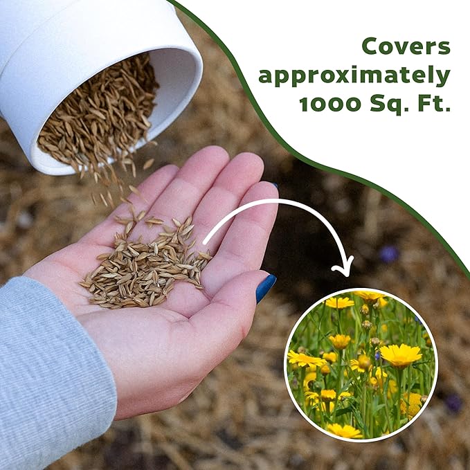 Botanical Interests EcoEase Flowering Mix Alternative Lawn Seed Shaker – Covers 1,000 sq ft, Low-Maintenance Wildflower Blend, Perfect for Pollinators, Drought-Tolerant, Eco-Friendly Packaging