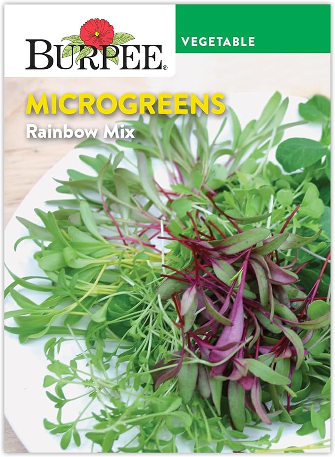 Burpee Rainbow Mix Microgreens Seeds - Zesty, Nutritious Indoor Blend