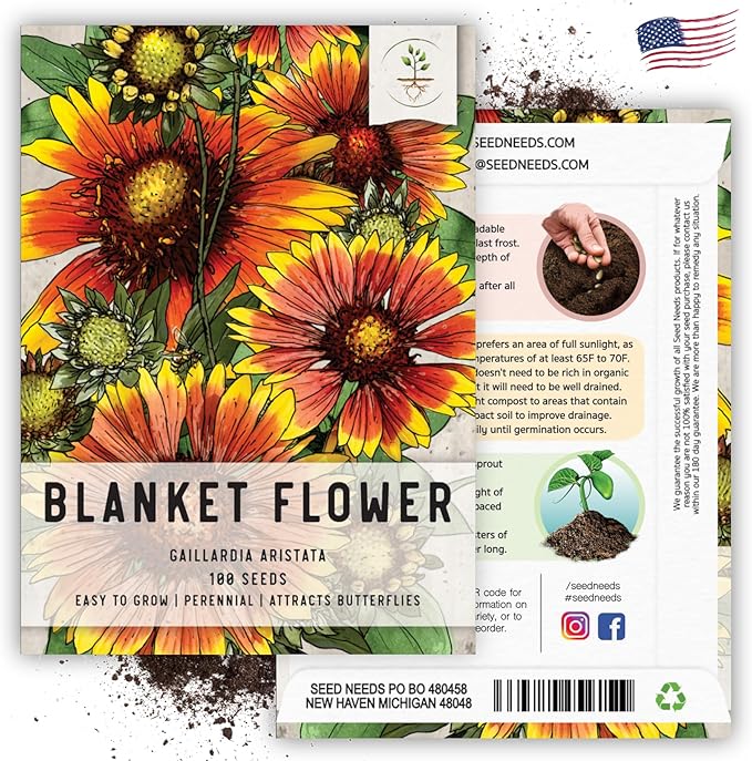 Seed Needs, Blanket Flower Seeds for Planting (Gaillardia aristata) Single Package of 100 Seeds - Heirloom & Open Pollinated, Attracts Butterflies