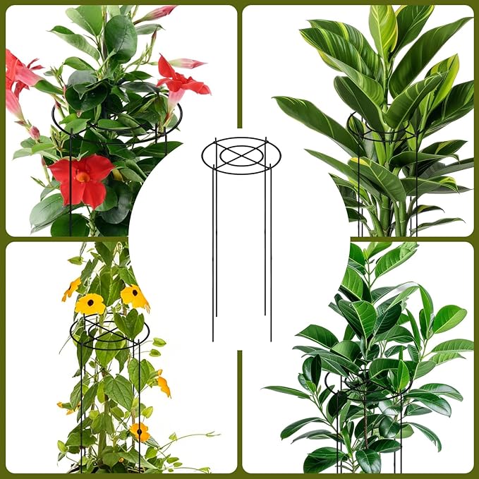 11.8" Dx31.5 H Peony Cages and Supports, 4 Pack Plant Supports for Outdoor Plants Grow Through Hoops Grids Heavy Duty Metal Peony Support Cage Flower Support Rings for Rose Tomato Hydrangea etc