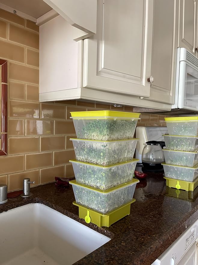 2026 Upgraded 4-Tier Stackable Seed Sprouter with Air Holes & Easy Sink-Draining Spout Tray – Soil-Free Sprouting System for Broccoli, Alfalfa & Bean Sprouts.