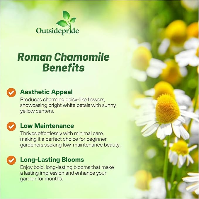 Outsidepride Roman Chamomile Seeds - 25000 Pcs Perennial, Drought Tolerant, Self-Seeding & Versatile, Herb Seeds for Planting Sweet Scented Daisy-Like Blooms, Ideal for Slopes & Pollinator Gardens
